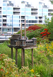 Spadina Quay Wetland