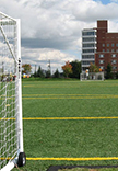 Sports Fields and Active Recreation