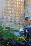 Bloor Street Transformation